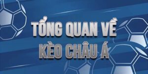 Hướng dẫn cách đọc các loại kèo châu Á thông dụng nhất